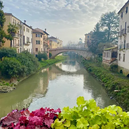 My Palladio 아파트 *